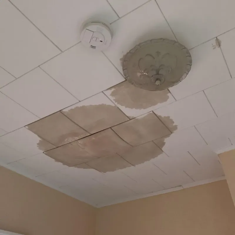 Ceiling Water Damage Repair in Shenandoah Farms, VA