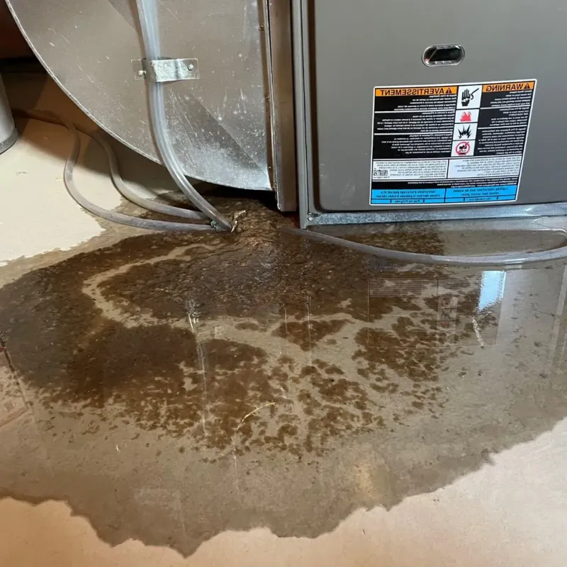 Pipe Burst and Leak Restoration in Shenandoah Farms, VA